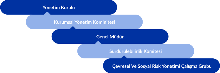 yonetim-yapisi[1].png